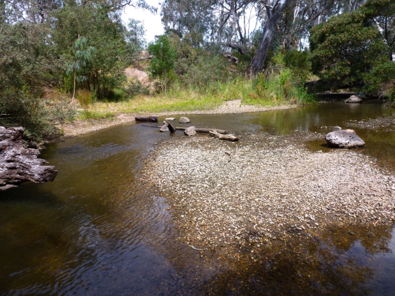 Cobbledicks Ford Reserve