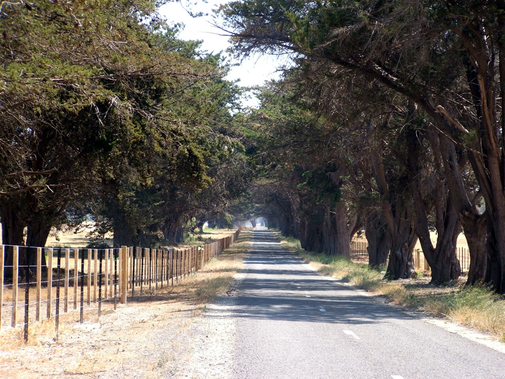 Federation Trail