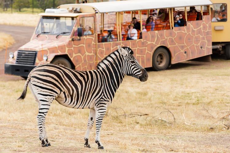 Werribee Open Range Zoo